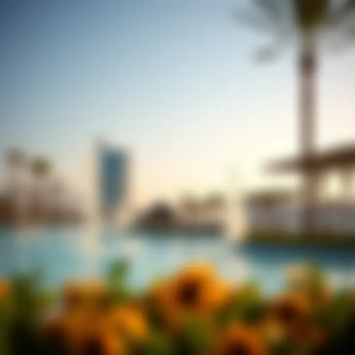 Magnificent A Comprehensive Examination of Dubai Hills Splash Park: Capturing the Essence Through Photography