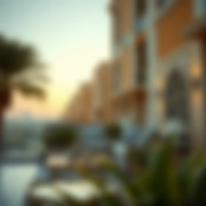 Magnificent Exploring 1 BHK Rental Opportunities in Nad Al Hamar