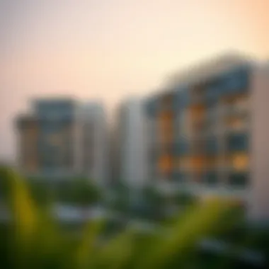 Magnificent Exploring Rental Options: Flats for Rent in Al Quoz