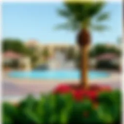 A Comprehensive Examination of Dubai Hills Splash Park: Capturing the Essence Through Photography Introduction