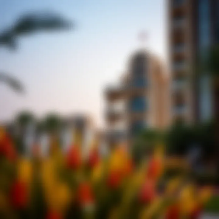 Notable A Comprehensive Examination of Dubai Hills Splash Park: Capturing the Essence Through Photography