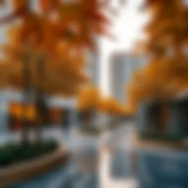 Autumn in the UAE: A Comprehensive Exploration Summary Autumn in the UAE: A Comprehensive Exploration Summary