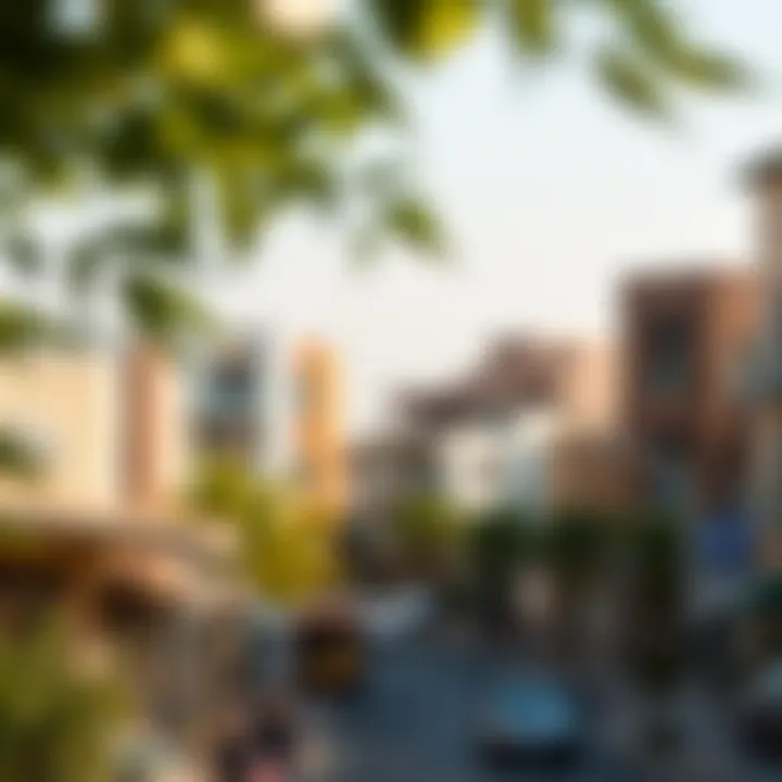 Vibrant Neighborhood of Burjuman Vibrant neighborhood surroundings of Burjuman