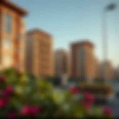 Comprehensive Overview of Lulu Al Muteena: A Principal Neighborhood in Dubai Summary