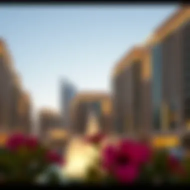 Residential buildings near the Dubai Mall Fountain