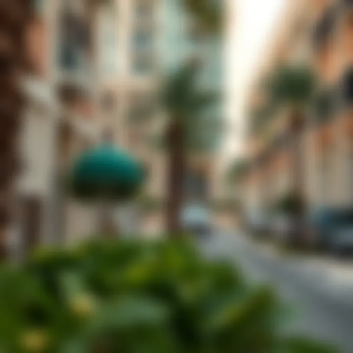 Affordable Neighborhood in Dubai A serene residential street in an affordable neighborhood of Dubai