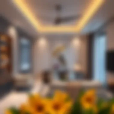 Contemporary 1 BHK Apartment Design Modern 1 BHK apartment interior showcasing contemporary design