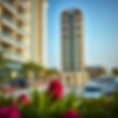 Amenities Overview: What 1 BHK Rentals Offer in Jebel Ali Amenities available in a Jebel Ali 1 BHK rental
