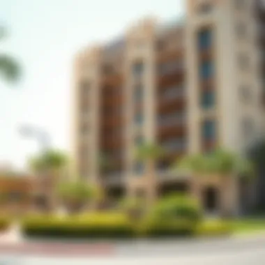 Exploring 1 BHK Rental Opportunities in Nad Al Hamar Summary