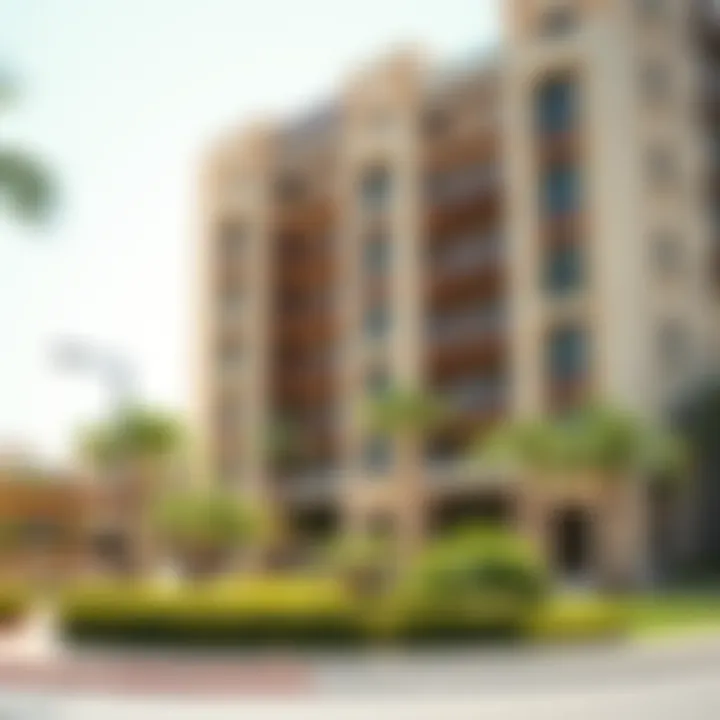 Exploring 1 BHK Rental Opportunities in Nad Al Hamar Summary