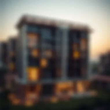 Exploring 1 BHK Rentals in Dubai South Summary