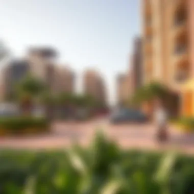 Community Amenities in Dubai Vibrant Dubai neighborhood featuring local amenities and parks