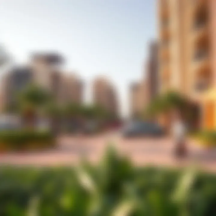 Community Amenities in Dubai Vibrant Dubai neighborhood featuring local amenities and parks