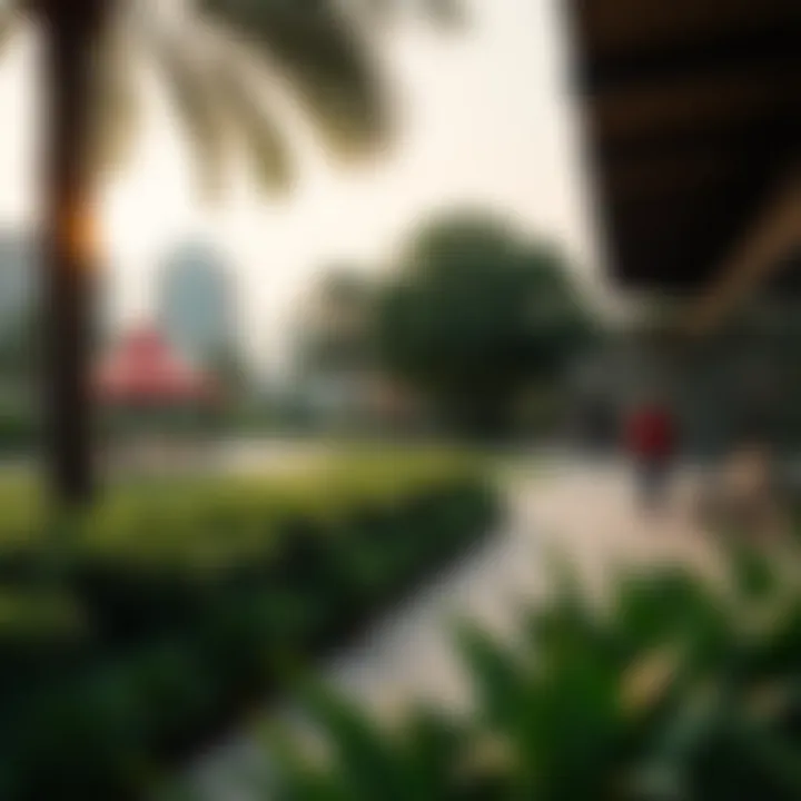 Outdoor Recreational Area in JLT Outdoor recreational area in JLT with lush greenery