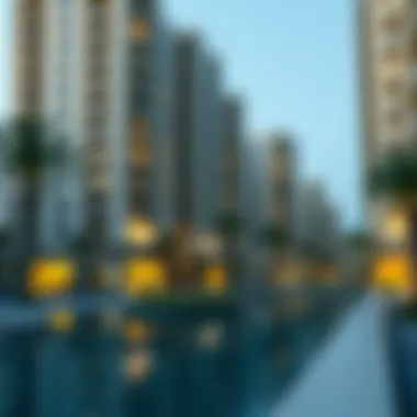 Notable Exploring Apartment Options in Discovery Gardens