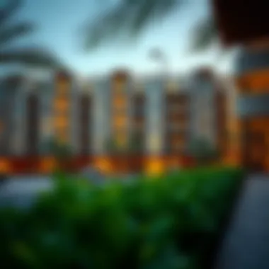 Exploring Apartment Options in Discovery Gardens Summary