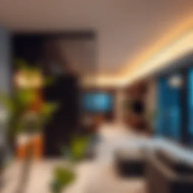 Stylish Residential Partition Applications Stylish applications of partitions in residential spaces