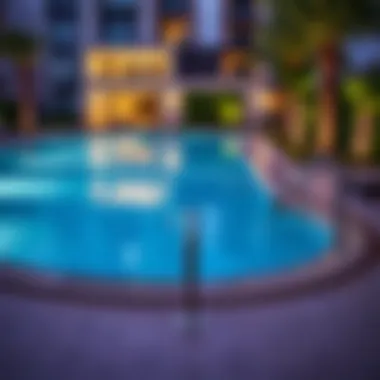 Diverse Pool Styles for Every Preference Various styles of swimming pools available in Dubai