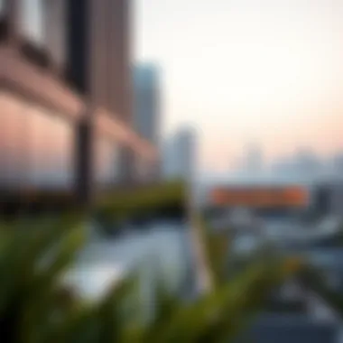 Stunning Rooftop View from ELZ Residence Stunning rooftop view from ELZ Residence