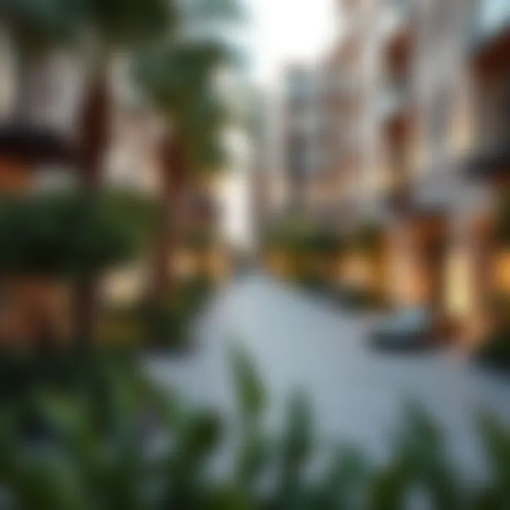 Community Spaces in Dubai Community spaces and parks in a Dubai neighborhood