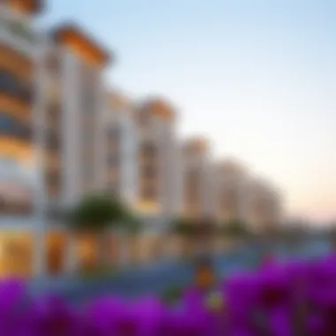 Notable Exploring Iris Village: A Comprehensive Guide to Dubai's Emerging Living Destination