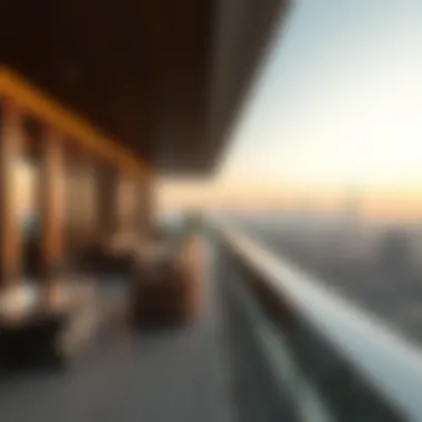 Breathtaking view from a Nakheel Apartment terrace overlooking Dubai skyline