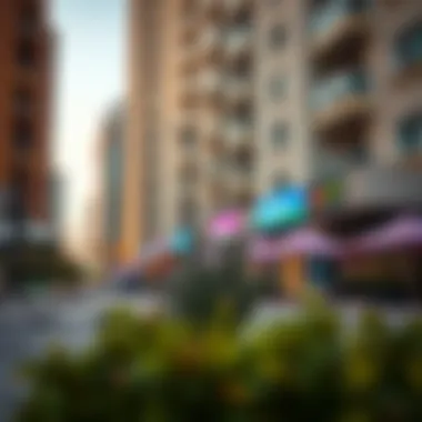 Vibrant Local Amenities in Barsha Vibrant local amenities