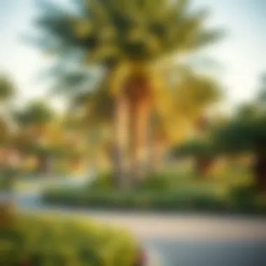 Community Park in Safeer Khalifa City Community park featuring lush greenery and recreational facilities