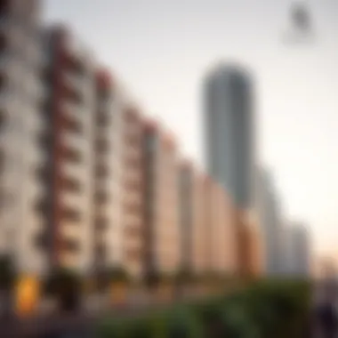 Scenic View of Dubai South Neighborhood Scenic view of Dubai South neighborhood