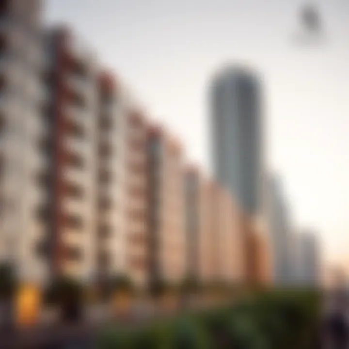 Scenic View of Dubai South Neighborhood Scenic view of Dubai South neighborhood