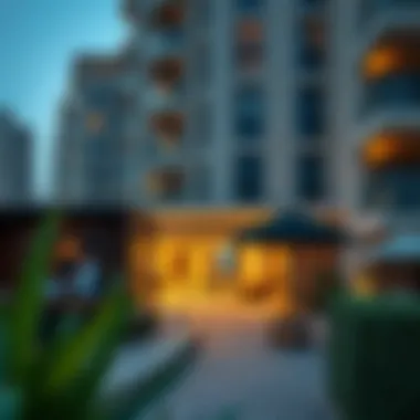 Local Amenities Enhancing Studio Living Overview of popular amenities available near studio apartments in Rashidiya