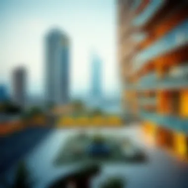 Insightful Rental Trends in Dubai Rental market trends infographic for Dubai