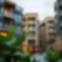 Exploring the Al Zahia 2 Bedroom Apartment Rental Market Introduction