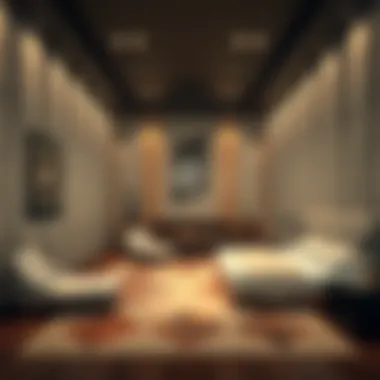 Exploring the Deira Partition Room: A Comprehensive Guide Introduction