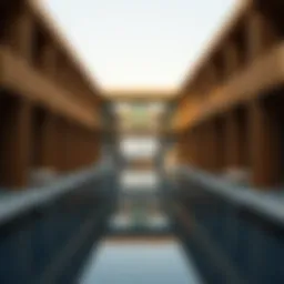 Exploring the Essence of Wood Residences in Dubai's Real Estate Landscape Introduction