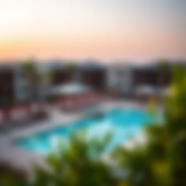 Amenities in Damac Hills Community Community amenities including swimming pool and recreational areas