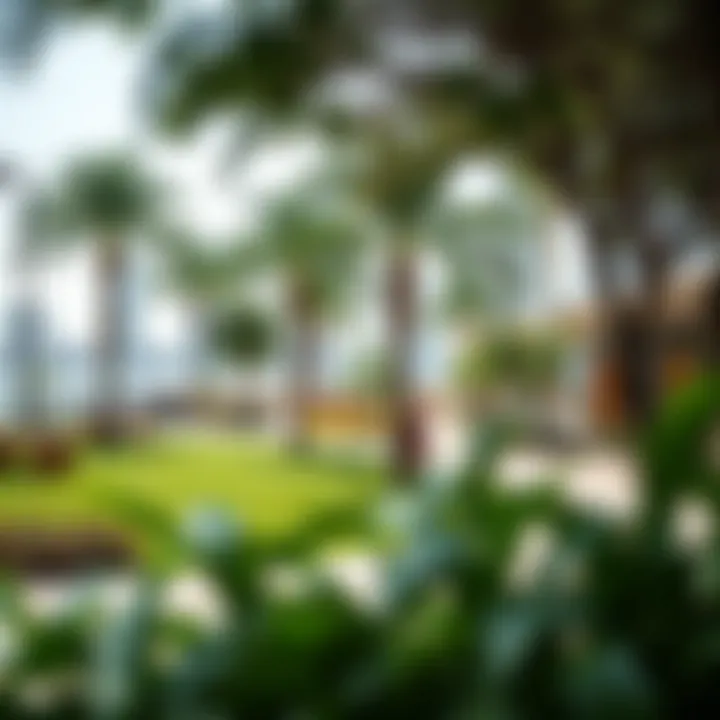 Vibrant community spaces and green surroundings