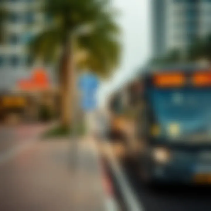 Public transport options near Jumeirah Beach Residence