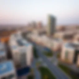 Aerial view of Liwan community showcasing modern architecture