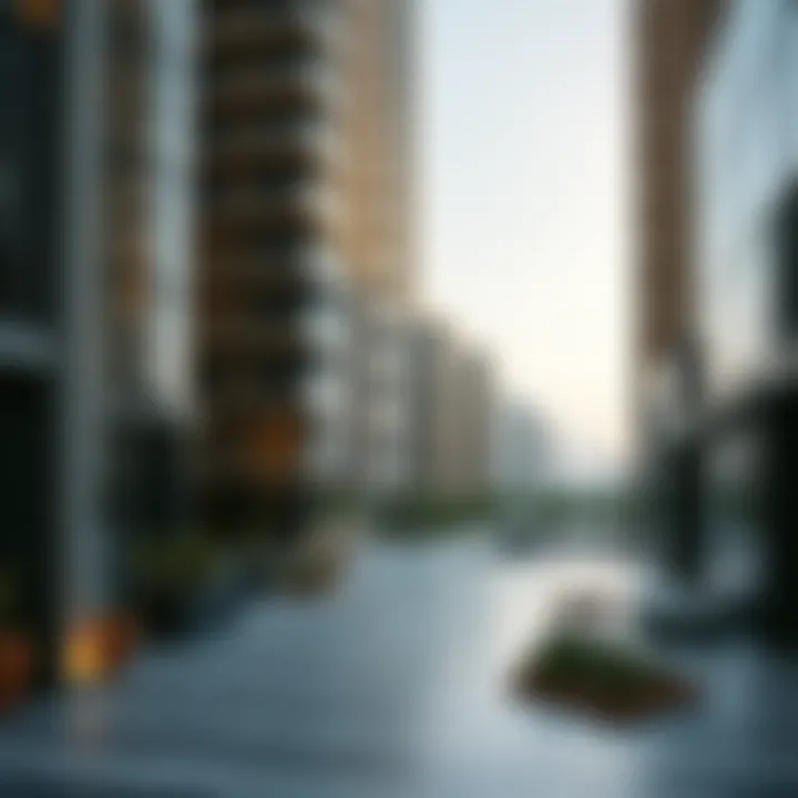 Navigating Flatmate Arrangements in Dubai: A Comprehensive Guide Summary