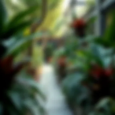 Diverse Plant Selection for Urban Gardens A lush garden demonstrating diverse plant selection tailored for urban spaces