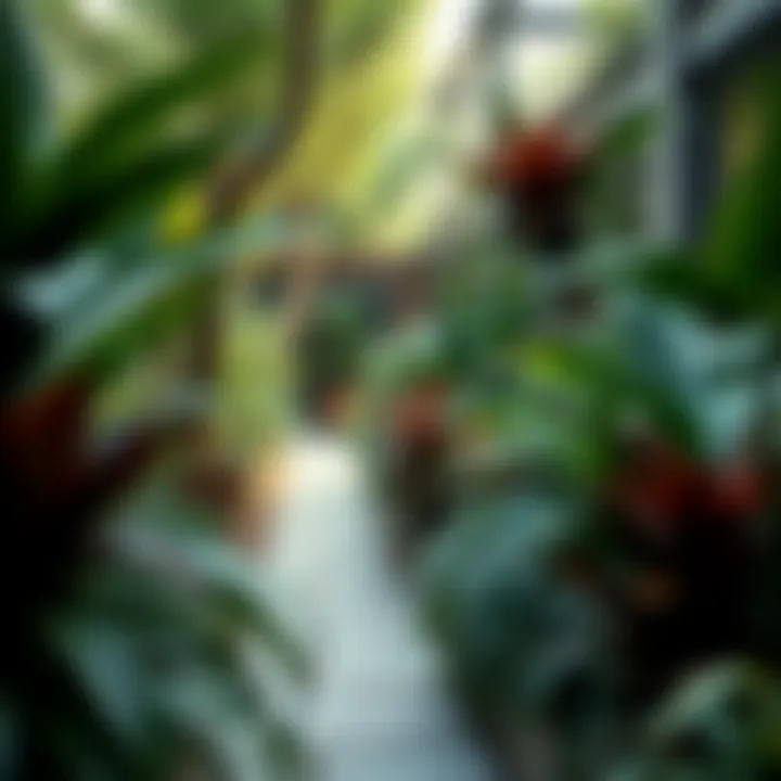 Diverse Plant Selection for Urban Gardens A lush garden demonstrating diverse plant selection tailored for urban spaces