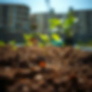 Healthy Soil for Thriving Plants Close-up of healthy soil enriched with organic materials for optimal garden growth