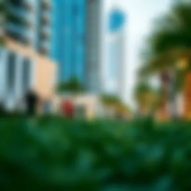 Community Fitness in Urban Spaces Outdoor fitness activities and green spaces in City Walk enhancing community well-being