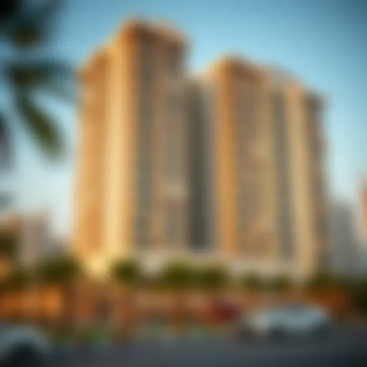 Real Estate Trends in Muwaileh Infographic displaying real estate trends in Dubai's Muwaileh area