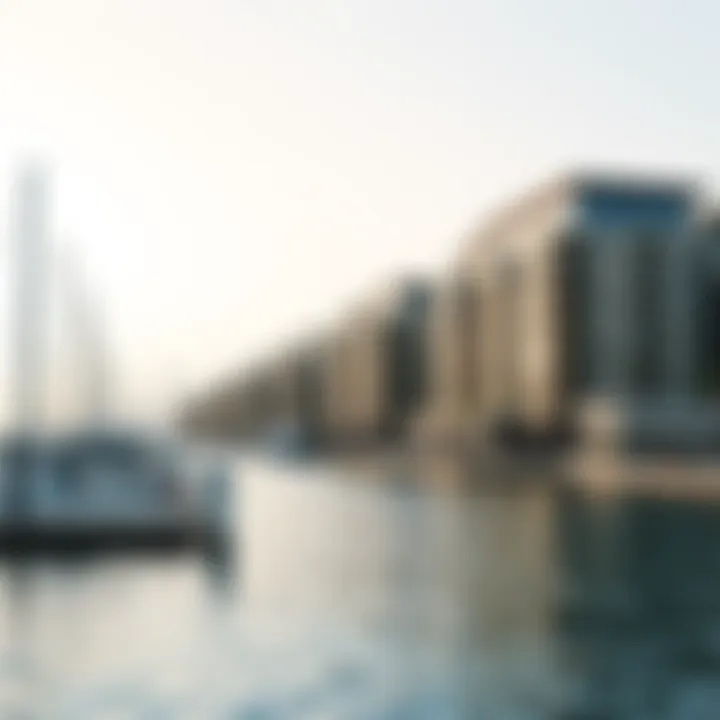 Waterfront Living Experience on Reem Island Vibrant waterfront living at Reem Island