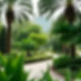 Lush greenery at Safiya Park highlighting its urban oasis