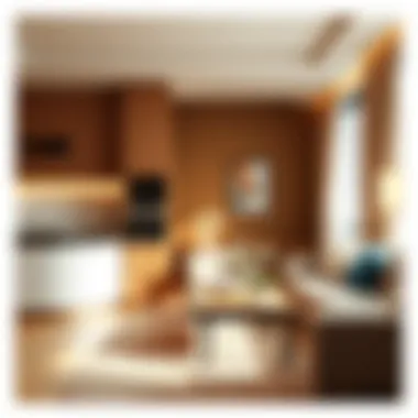 Essential Amenities for Comfortable Living Amenities in a studio room, highlighting kitchen and living area