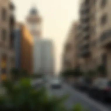 Notable Sultan Bin Zayed the First Street: A Detailed Exploration