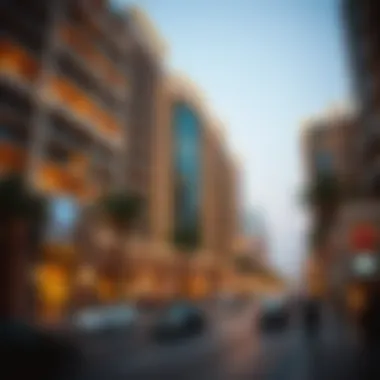 Sultan Bin Zayed the First Street: A Detailed Exploration Summary
